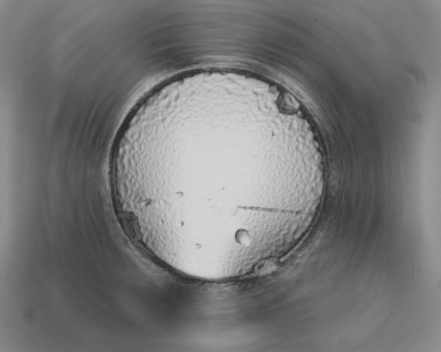 X0000112761283200909101522