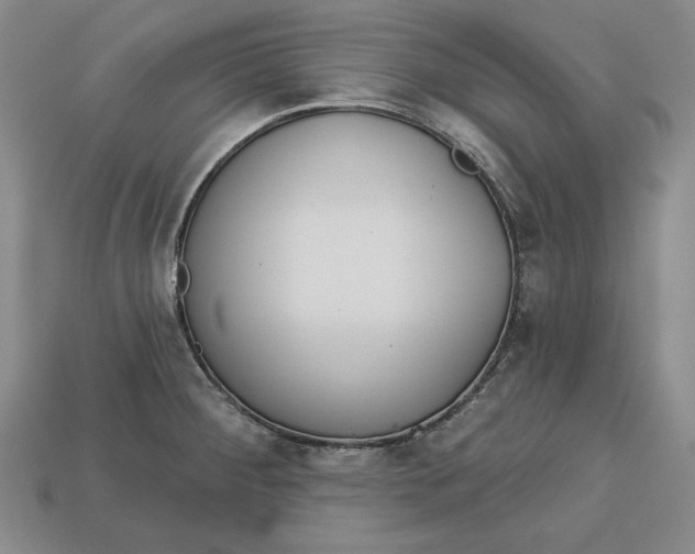 X0000112761284200909101522