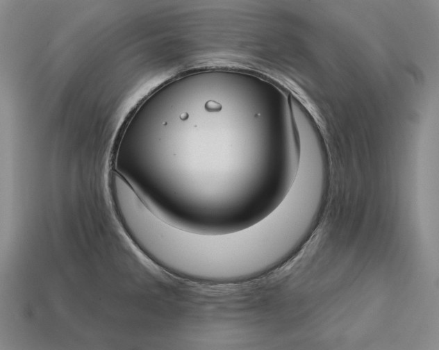 X0000112761285200909101522