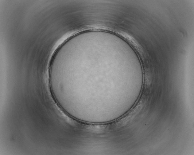 X0000112761286200909101522