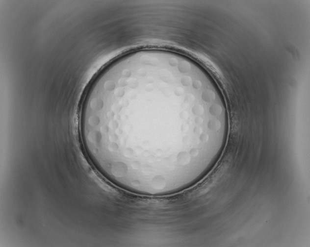 X0000112761287200909101522