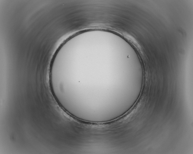 X0000112761288200909101522