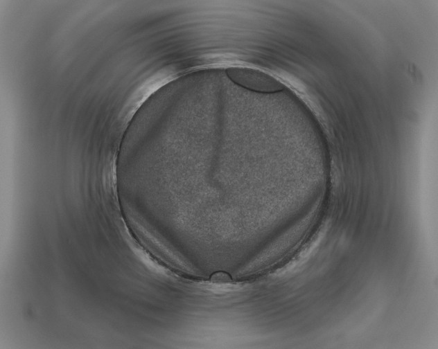 X0000112761289200909101522