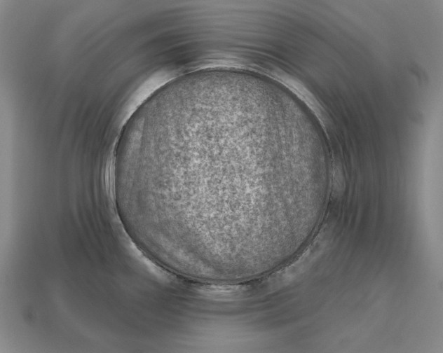 X0000112761290200909101522