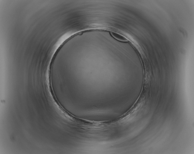 X0000112761291200909101522