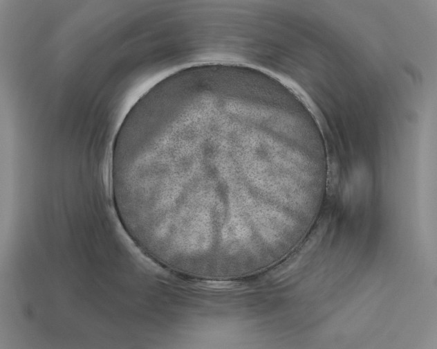 X0000112761295200909101522