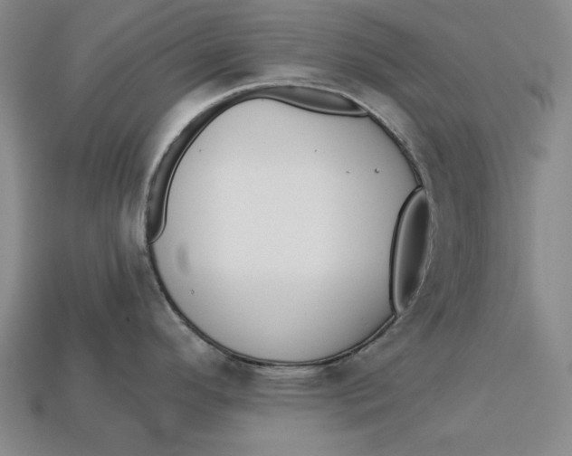 X0000112761296200909101522