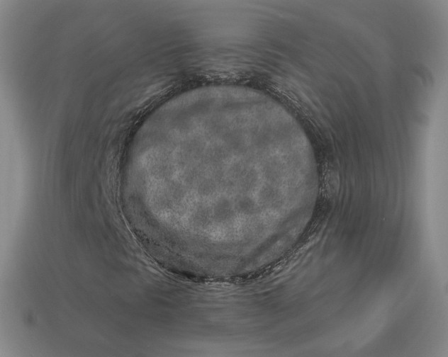 X0000112761297200909101522