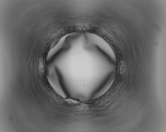 X0000112761298200909101522