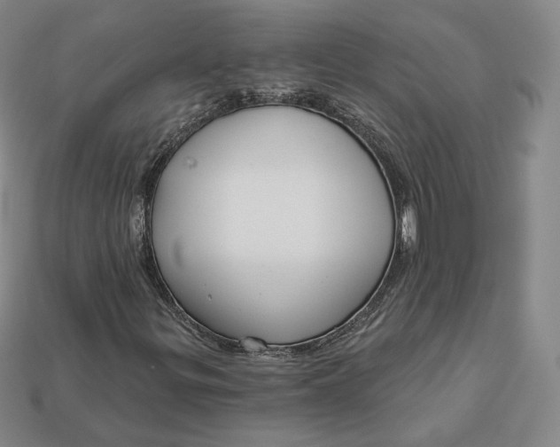 X0000112761299200909101522