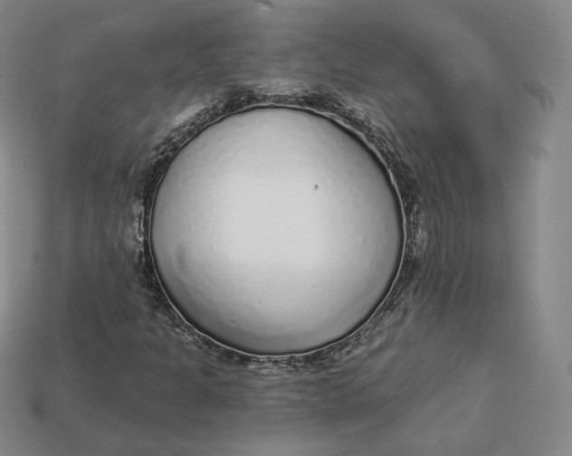 X0000112761301200909101522
