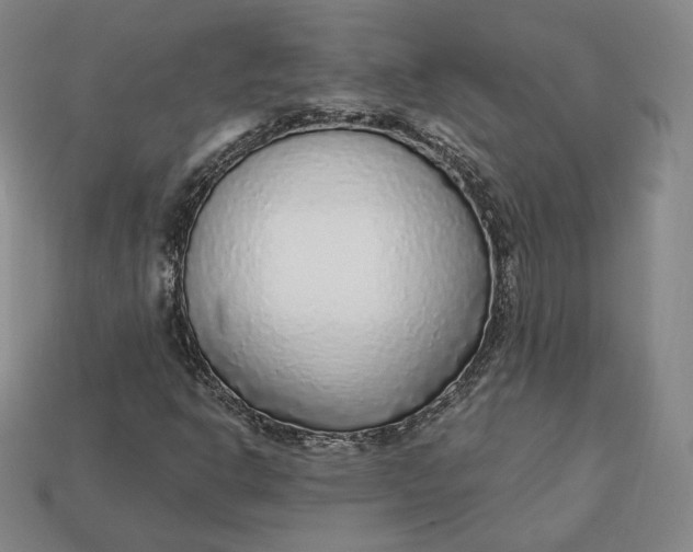 X0000112761302200909101522
