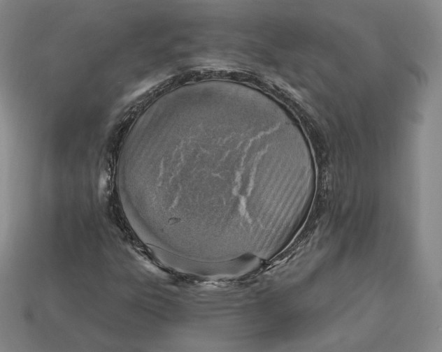X0000112761303200909101522