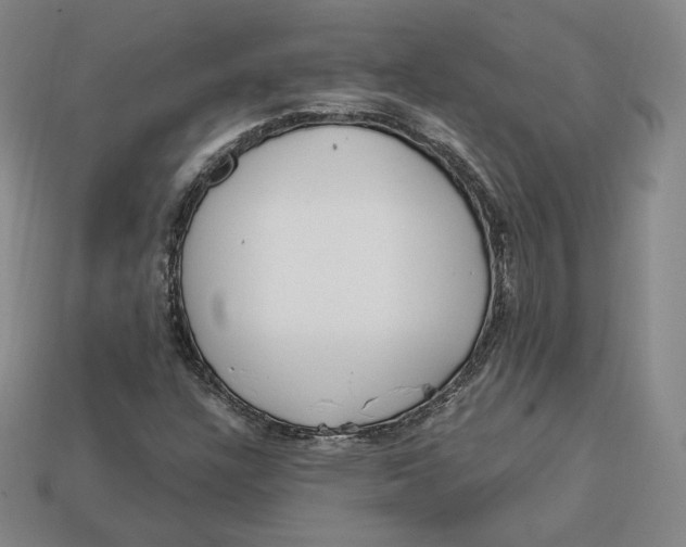 X0000112761304200909101522