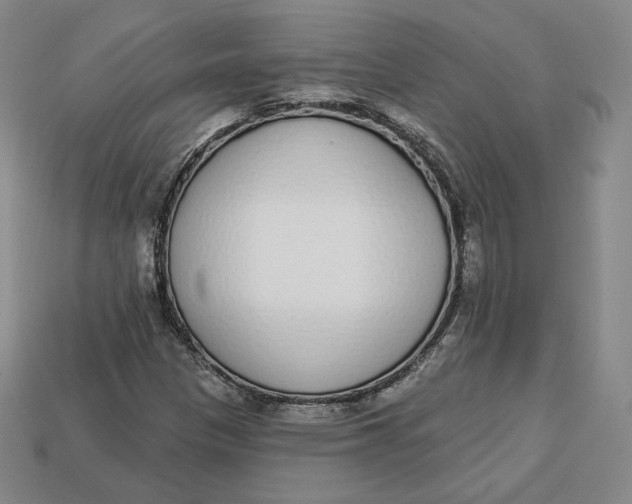 X0000112761305200909101522