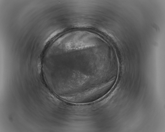 X0000112761306200909101522