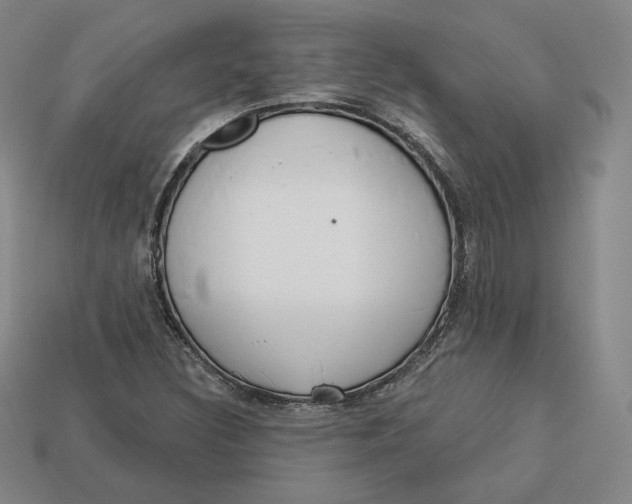 X0000112761308200909101522