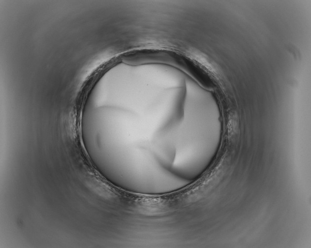 X0000112761310200909101522