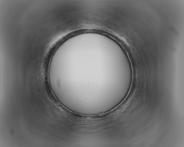X0000112761311200909101522