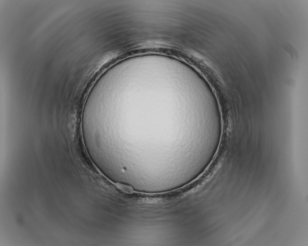 X0000112761313200909101522