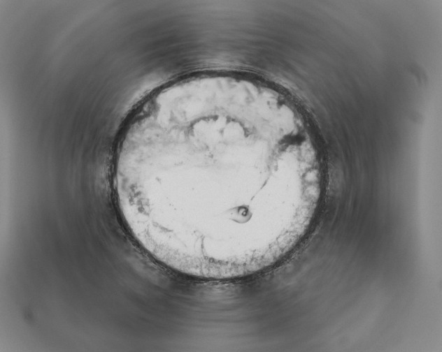 X0000112761314200909101522