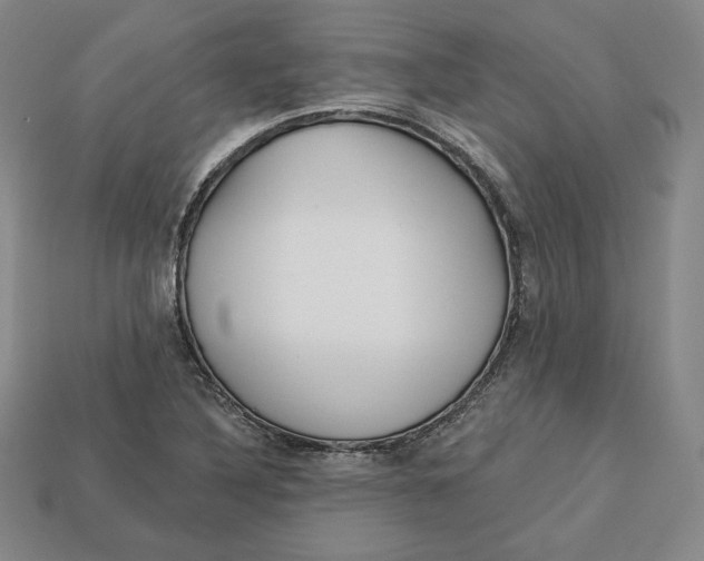 X0000112761316200909101522