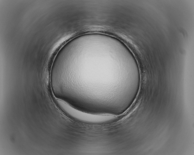 X0000112761317200909101522