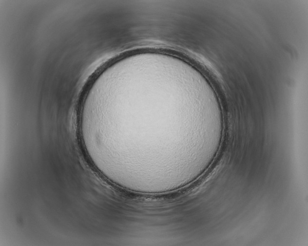 X0000112761318200909101522