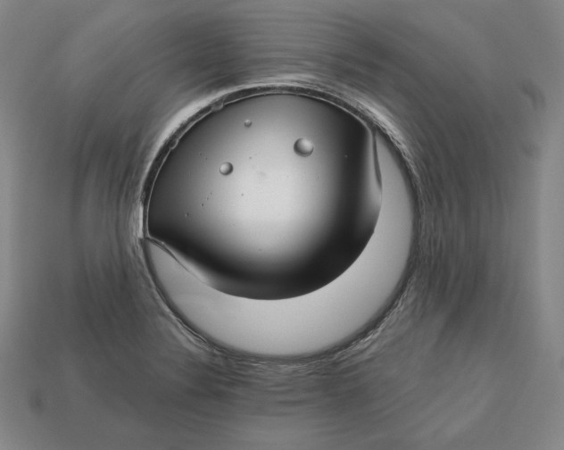 X0000112761324200909101522