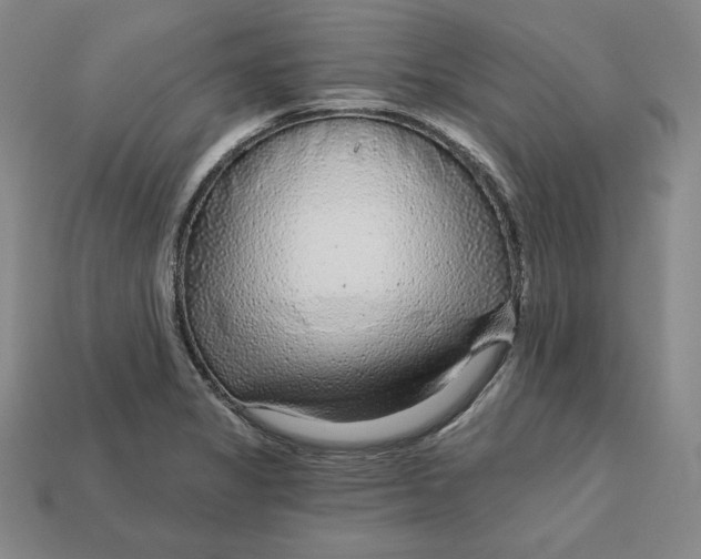 X0000112761325200909101522