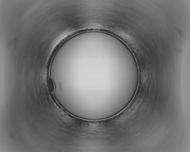 X0000112761326200909101522