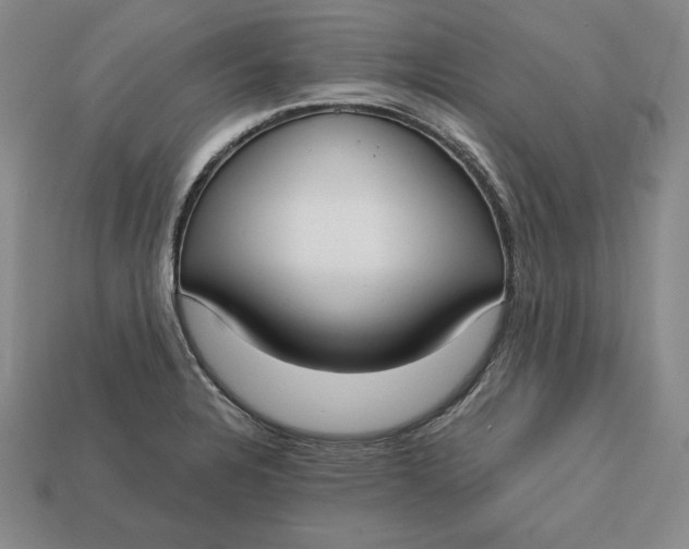 X0000112761328200909101522