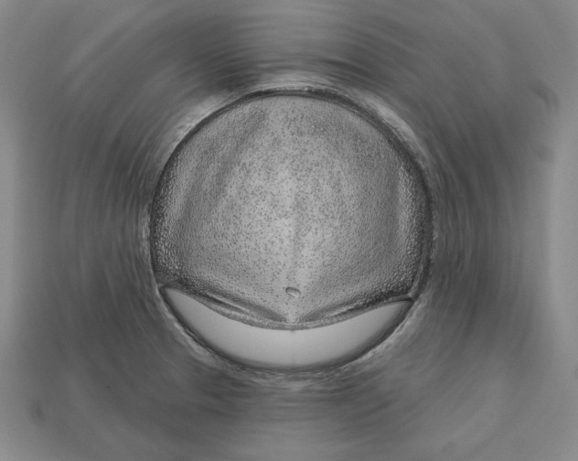 X0000112761329200909101522