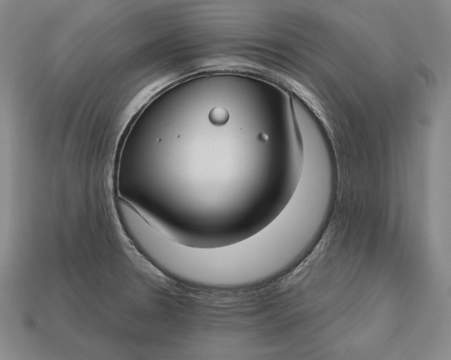 X0000112761330200909101522