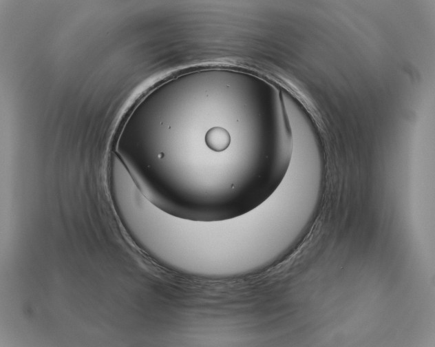X0000112761332200909101522