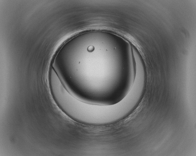 X0000112761334200909101522