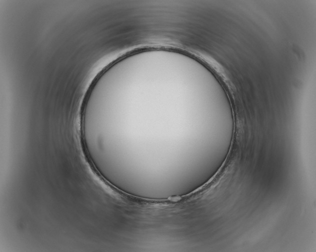 X0000112761335200909101522
