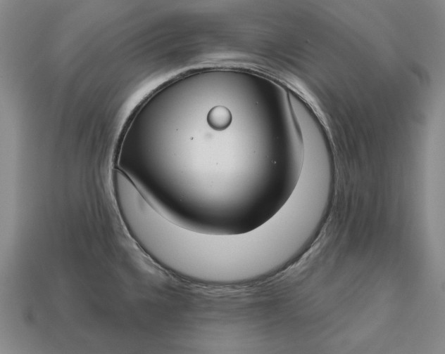 X0000112761336200909101522