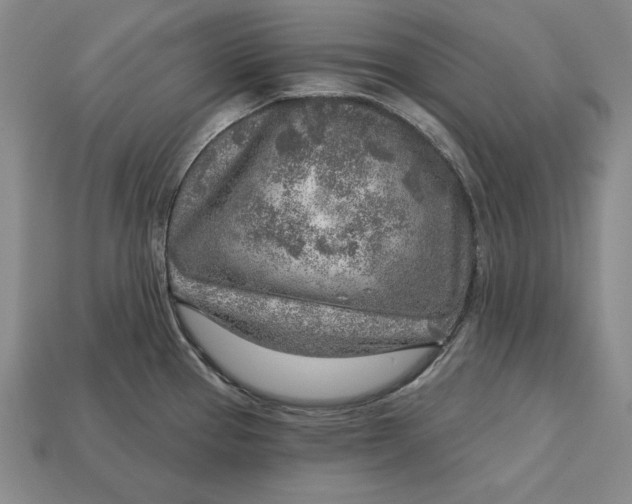 X0000112761337200909101522