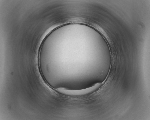 X0000112761339200909101522