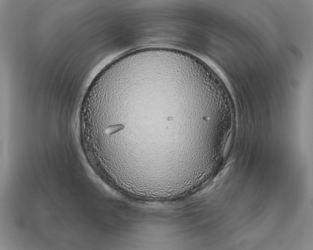X0000112761341200909101522