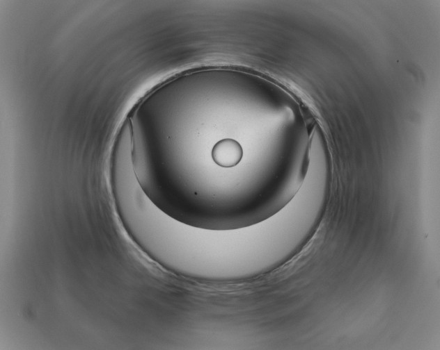 X0000112761342200909101522