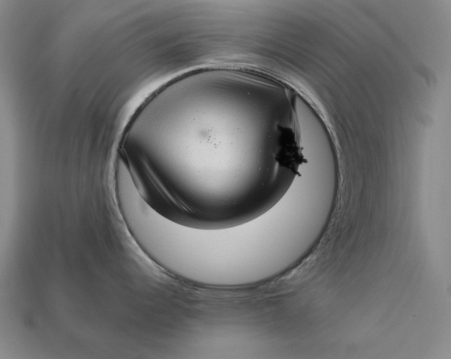 X0000112761344200909101522
