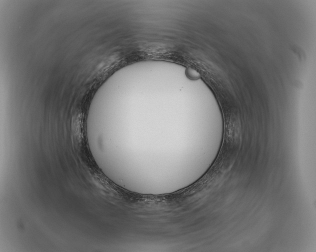 X0000112761346200909101522