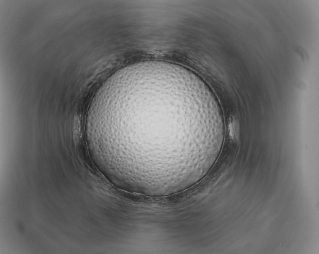 X0000112761347200909101522
