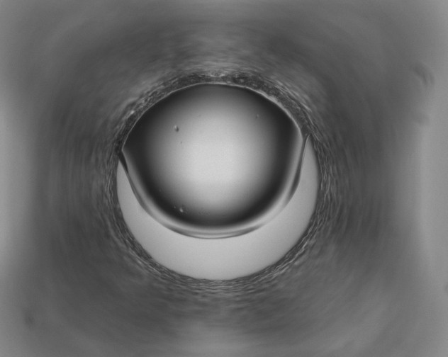 X0000112761349200909101522