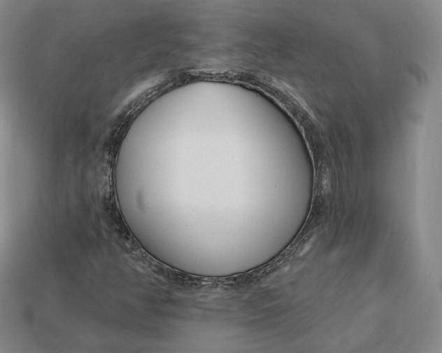 X0000112761350200909101521