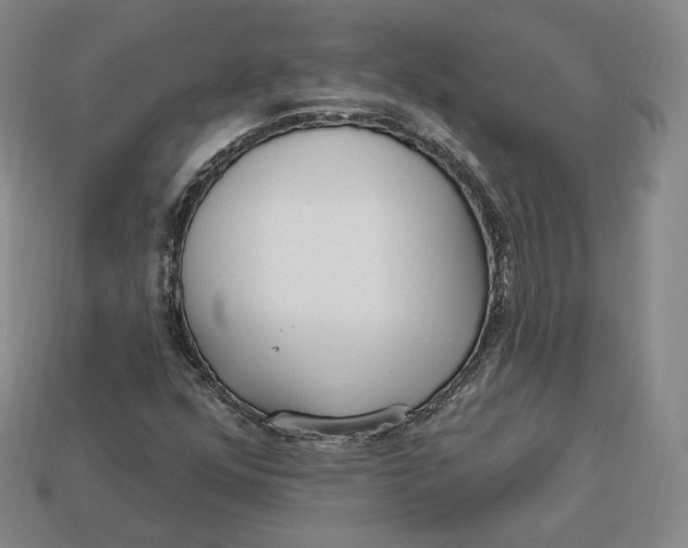 X0000112761352200909101521
