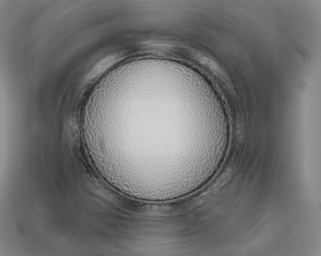 X0000112761354200909101521
