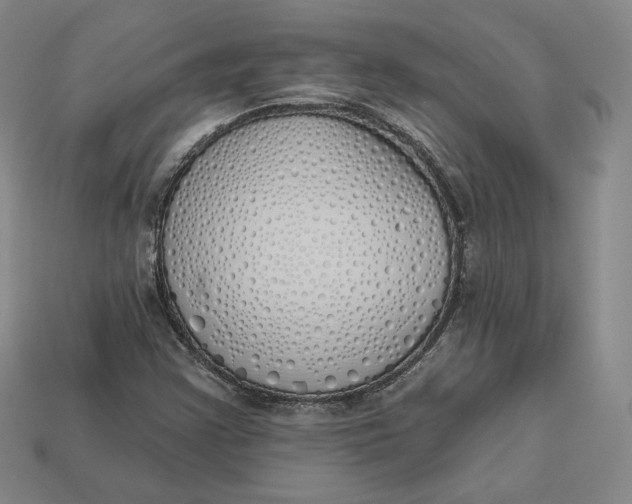 X0000112761355200909101521